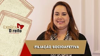 Explica Direito Filiação Socioafetiva  2019 [upl. by Ahsienyt]