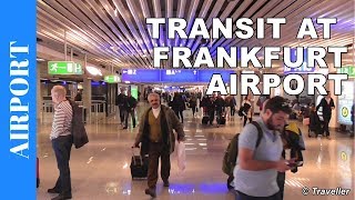 TRANSIT WALK AT FRANKFURT Airport FRA Terminal 1  Connection Flight Transfer Arriving amp Departing [upl. by Laina7]